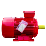 Động cơ 90kW-3000 Vòng/phút Chịu Nhiệt 300°C - Hộp cực liền - Hộp cực rời